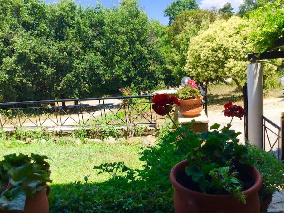 Ferienwohnung Διαμέρισμα Στην Περιοχή Εθνικής Αντίστασης Igoumenitsa Exterior foto