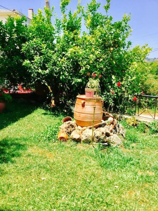 Ferienwohnung Διαμέρισμα Στην Περιοχή Εθνικής Αντίστασης Igoumenitsa Exterior foto